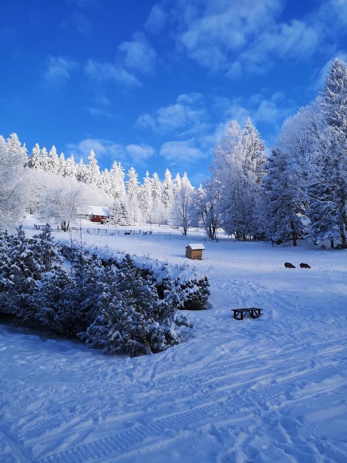 Chata Zákoutí Vítkovice Exteriér fotografie