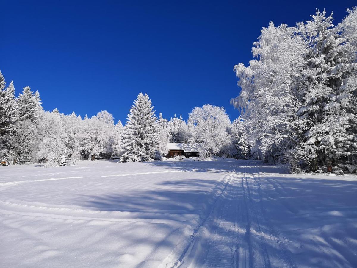 Chata Zákoutí Vítkovice Exteriér fotografie