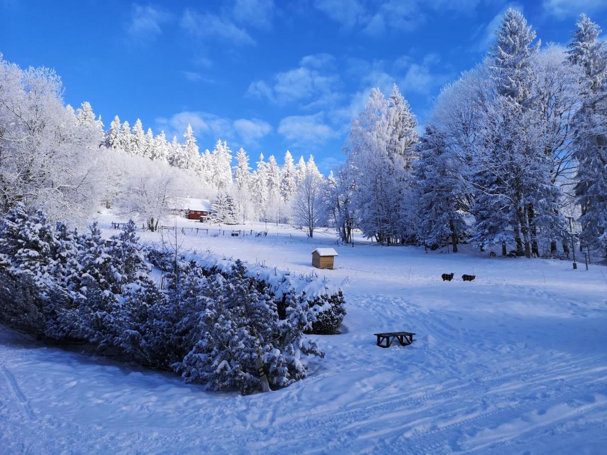 Chata Zákoutí Vítkovice Exteriér fotografie